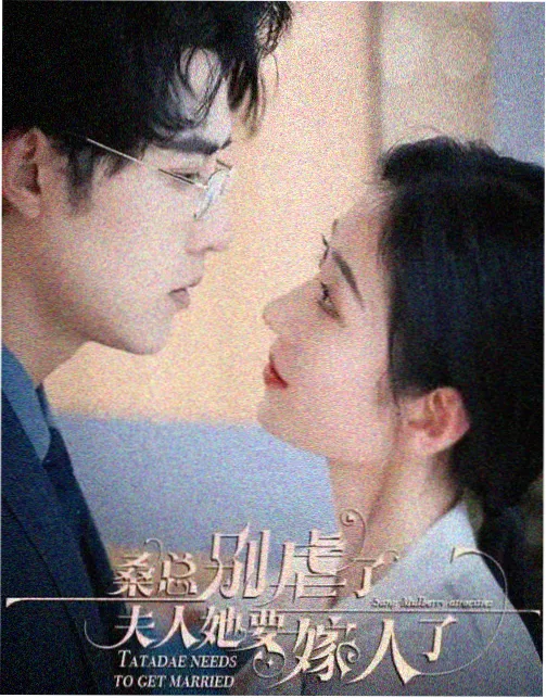 剧集档案长巷十二时封面